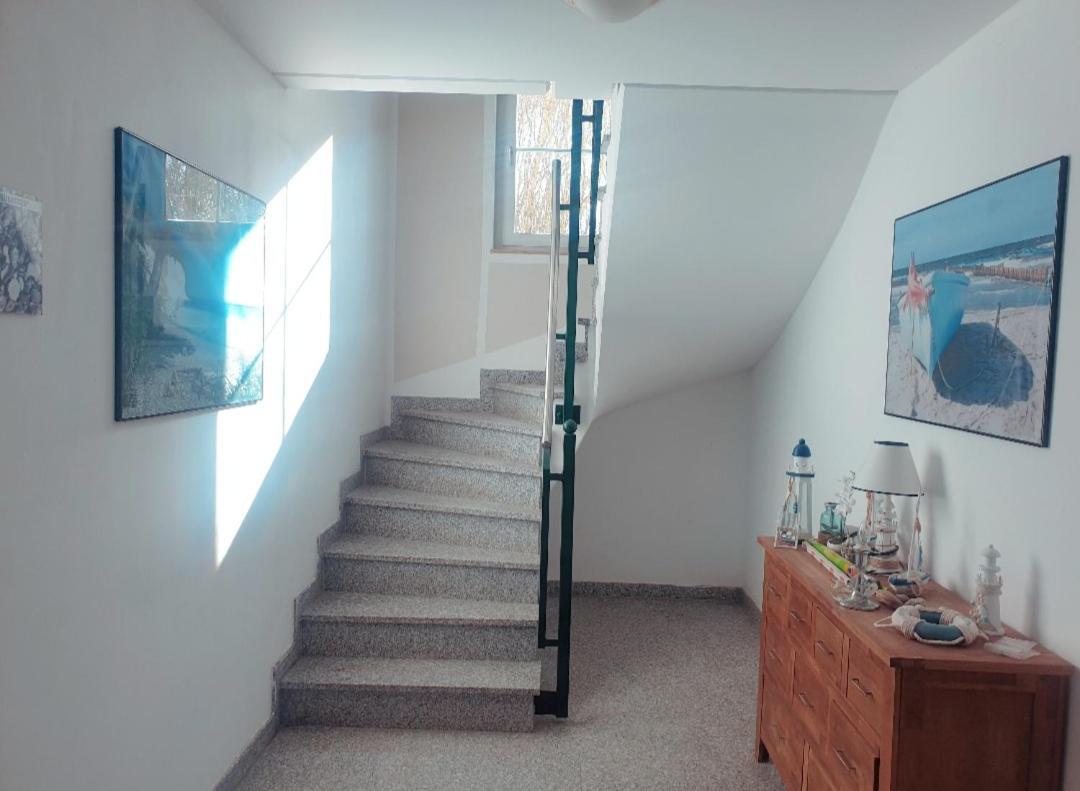 Appartementhaus Ostseeluft โลห์เมอ ภายนอก รูปภาพ